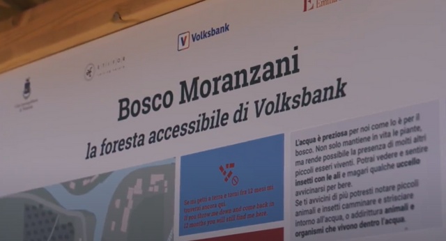 Riforestazione e inclusività: anniversario del Bosco Moranzani